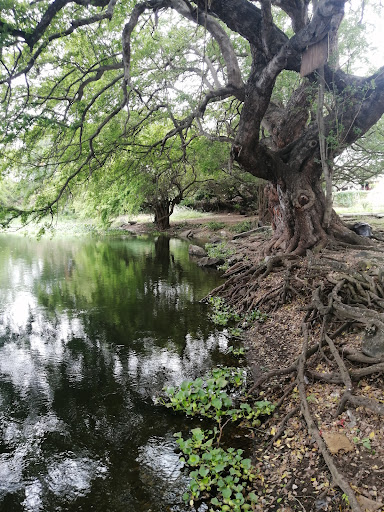 Parque Laguna Ilusión - Thumbnail