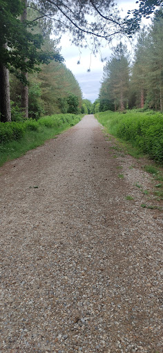Forest Holidays Thorpe Forest - Thumbnail