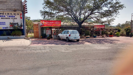 Forrajera Campero Hidalgo