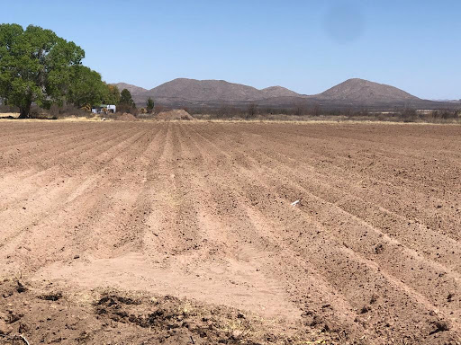 Tierras Quico