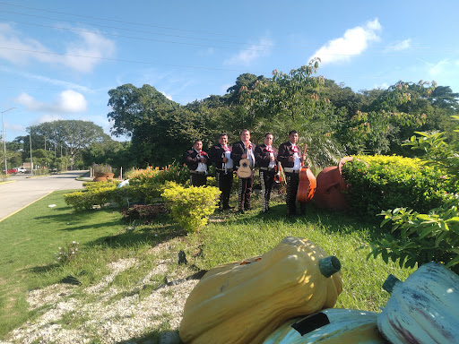 Mariachi Los Hacendados
