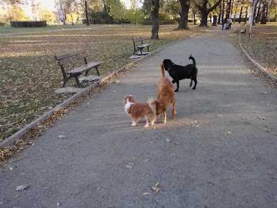 Photos of Park "St. St. Peter and Paul "