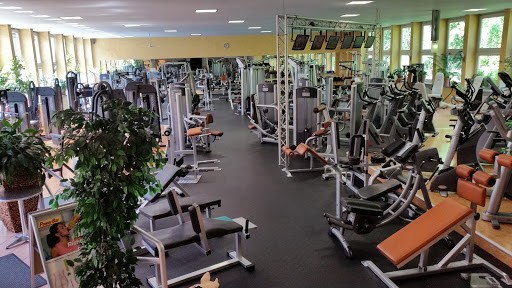 Lifestyle Fitness Club