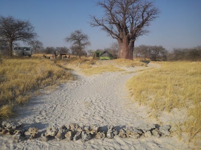Photos of Baines Campsite 1