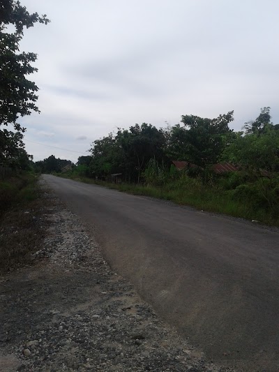 Photos of Sinar Mutiara Farm