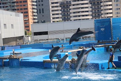 Photos of Oceanogr&agrave;fic
