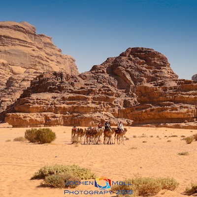 Photos of Camp Mohamed Alzwaida