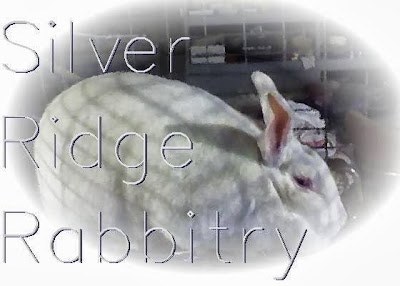 Silver Ridge Rabbitry and Farms