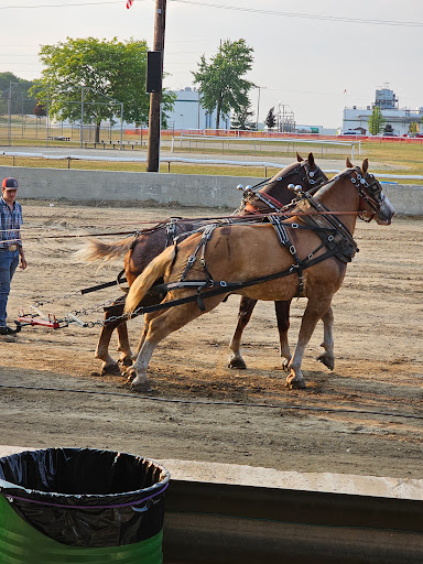 Lake Odessa Fair Playground