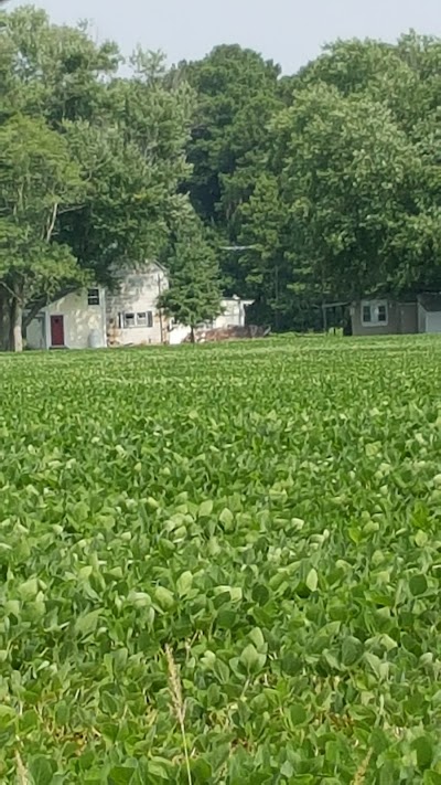 Site of Harriet Tubman Childhood Home