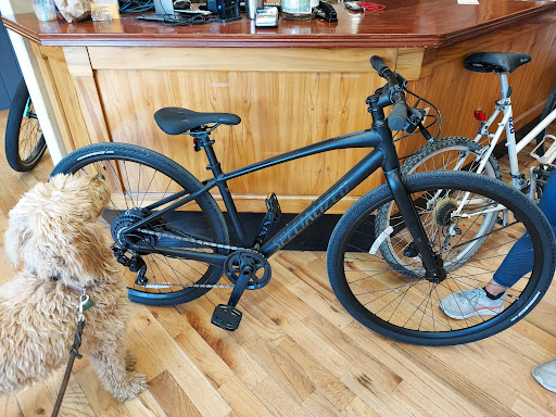 Bar Harbor Bicycle Shop - Thumbnail