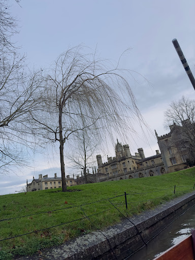 Wren Library - Visual