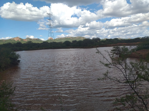 La Esparceña - Visual