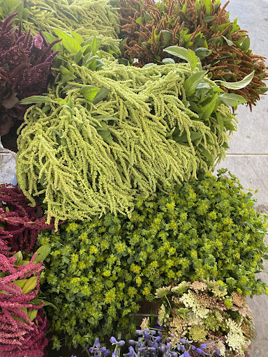 Northern California Flower Shippers