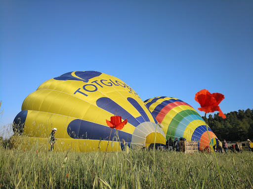 TOTGLOBO - Visual
