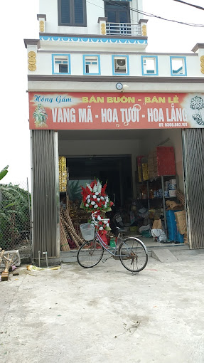 Hồng Gấm Vàng Mã