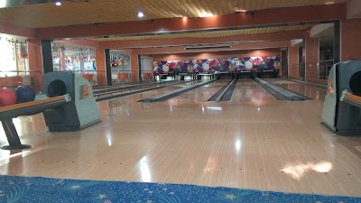 Photos of Mitch Bowling