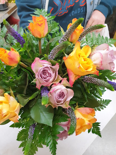 Blumen Hellings - Visual