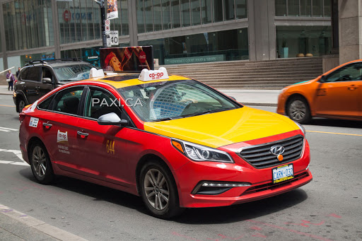 Toronto Business Licensing & Regulatory Services - Thumbnail