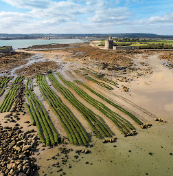 Photo n°9 de Les Jardins Ostréicoles de Tatihou - Huîtres de Normandie à Saint-Vaast-la-Hougue (Fournisseur d'huîtres)