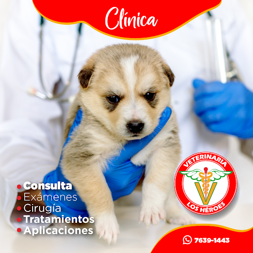 Veterinaria Los Héroes