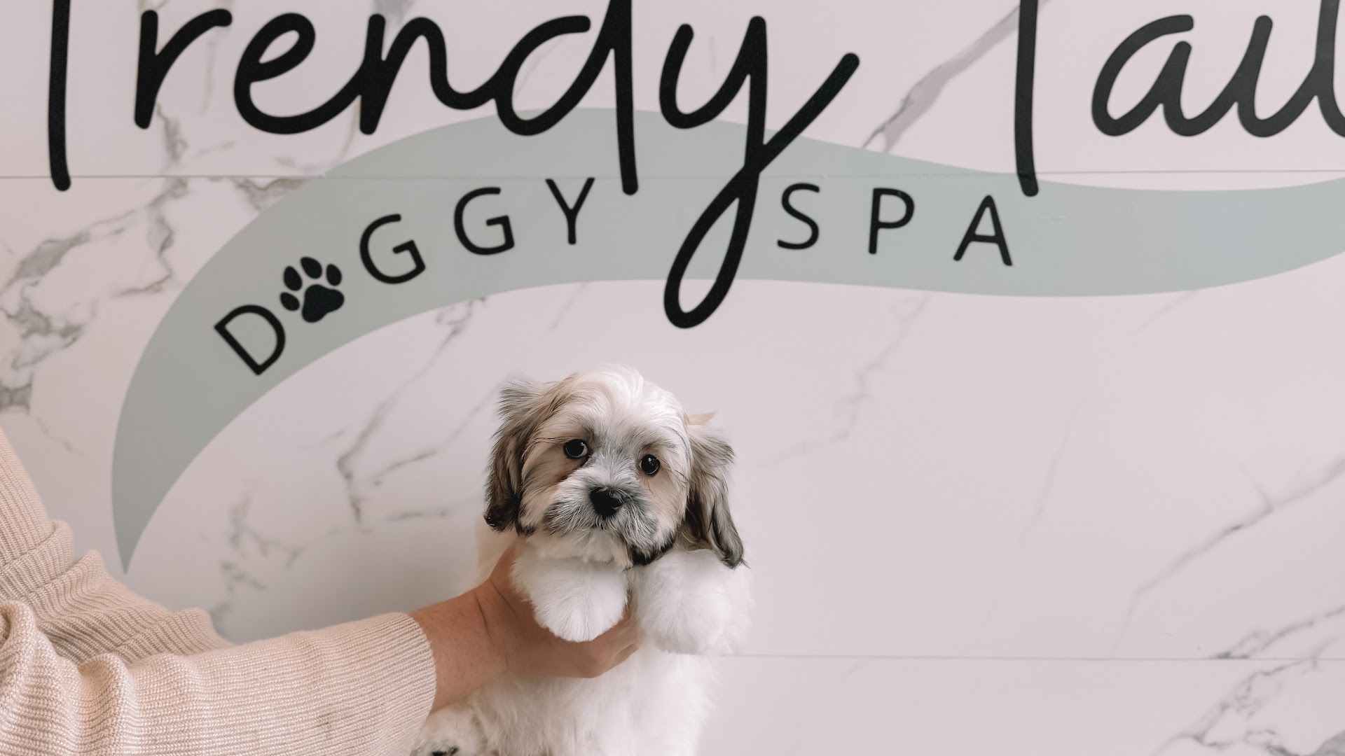 Trendy Tails Doggy Spa