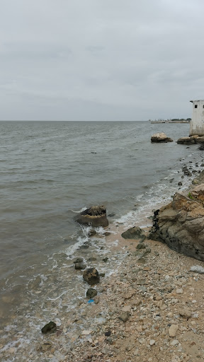 Pescaderia San Pedro - Thumbnail