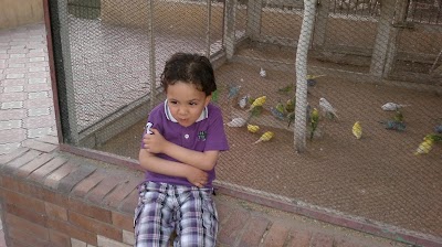 Photos of Sana'a zoo