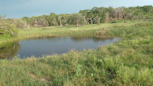 Rancho Prieto Azabache - Thumbnail