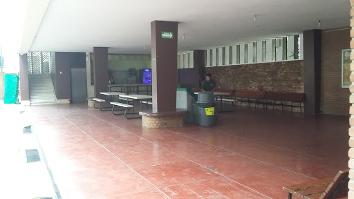 Instituto Anglo Mexican Middle and High School - Thumbnail