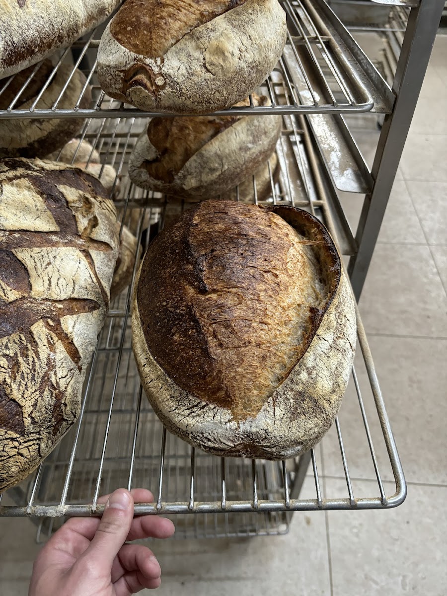 MLRT Sourdough Bakery — photo 5