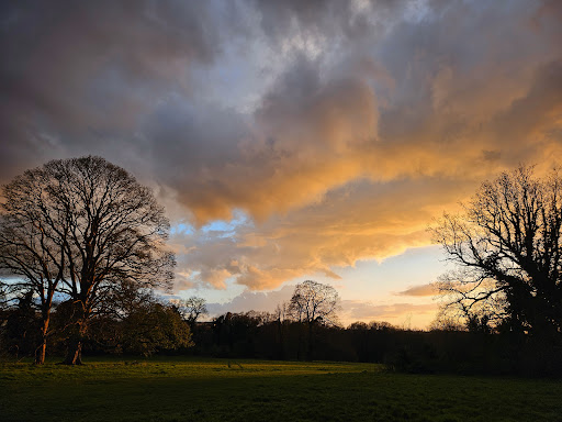 Earlham Park - Visual
