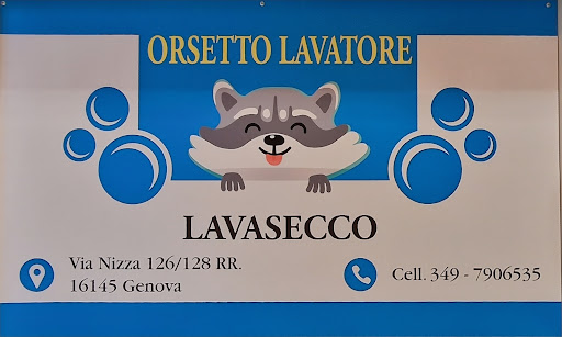 Orsetto Lavatore di Valova Viktoriia - Thumbnail