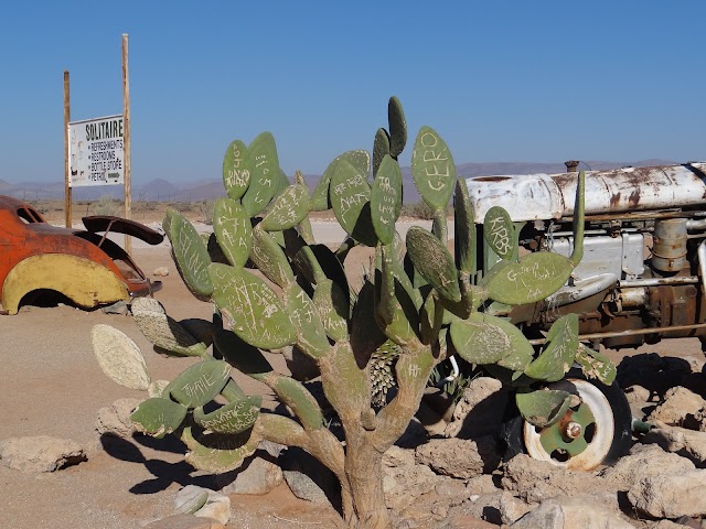 Solitaire Desert Farm