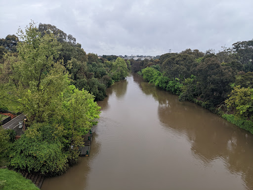O'Connell Reserve - Visual