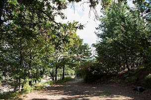 Photo n°31 de Camping U Monte Cintu à Lozzi (Terrain de camping)