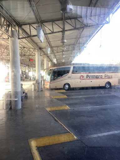 Autobuses ETN Turistar en San Luis Potosí