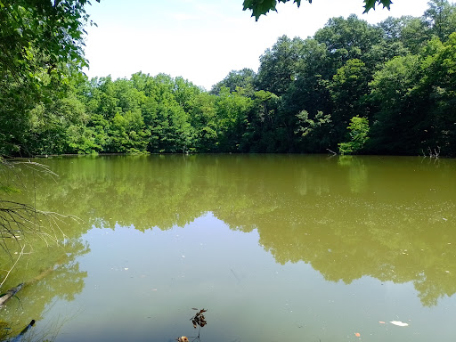 Lago Delle Vigne - Thumbnail