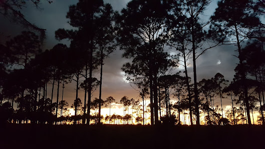Townsend and Sons Gator Farm and Processing Magnolia Trce, LaBelle, FL 33935