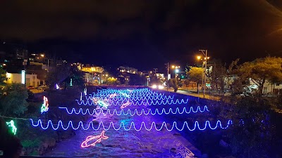 Photos of Los Nogales