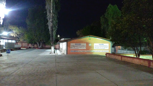 Secundaria Técnica No.42