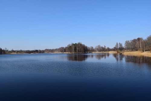 Bīriņu pils parks, Dzirnavas