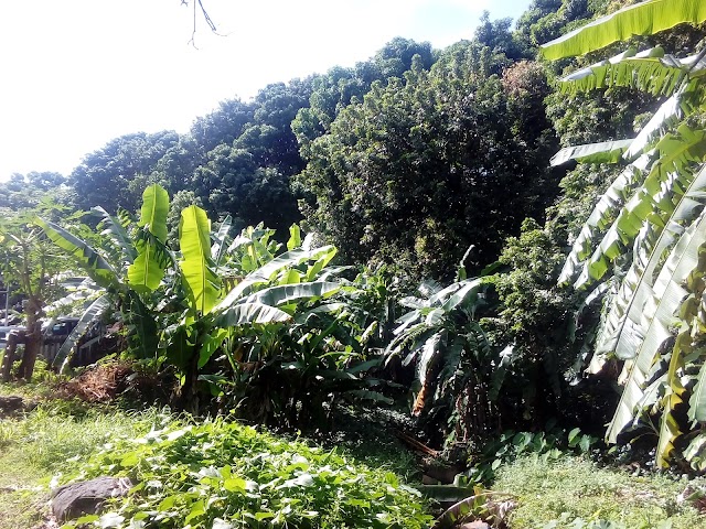 Réunion