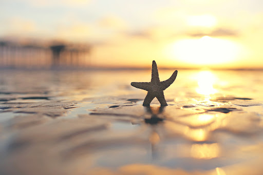 Beachfront Property Management, LTD