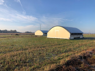 Photo n°3 de Le champ des poulettes à Saint-Branchs (Magasin de produits de la ferme)