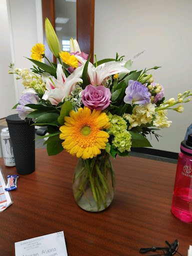 Harbor Blooms - Visual