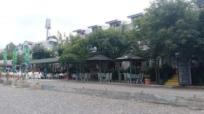 Photos of Hotel Holiday-M