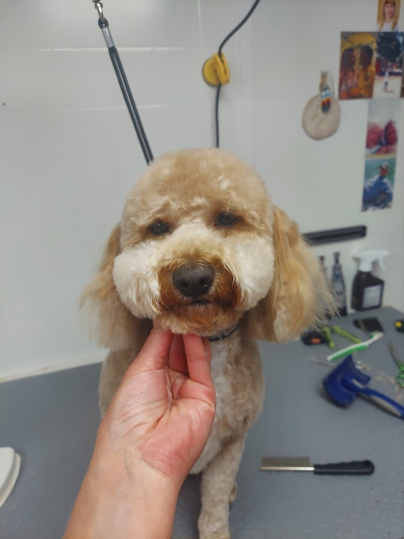 Tooele Valley Pet Grooming
