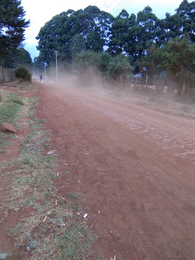 Photos of Mutitu