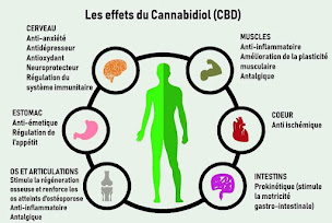 Photo n°16 de CBD-ORB à Saint-Chinian (Boutique de cigarettes électroniques)